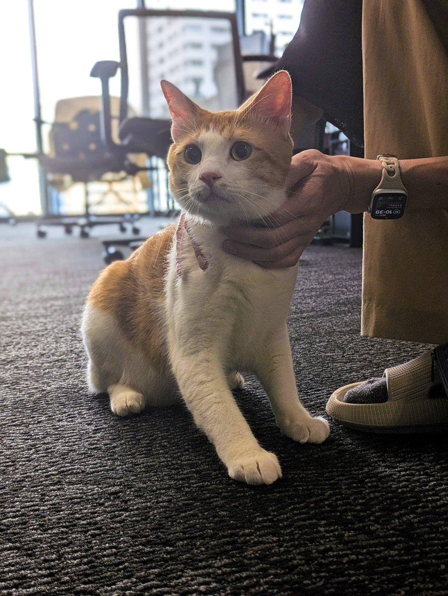 AI generated image for Black-and-White Storyboard Sequence Generation