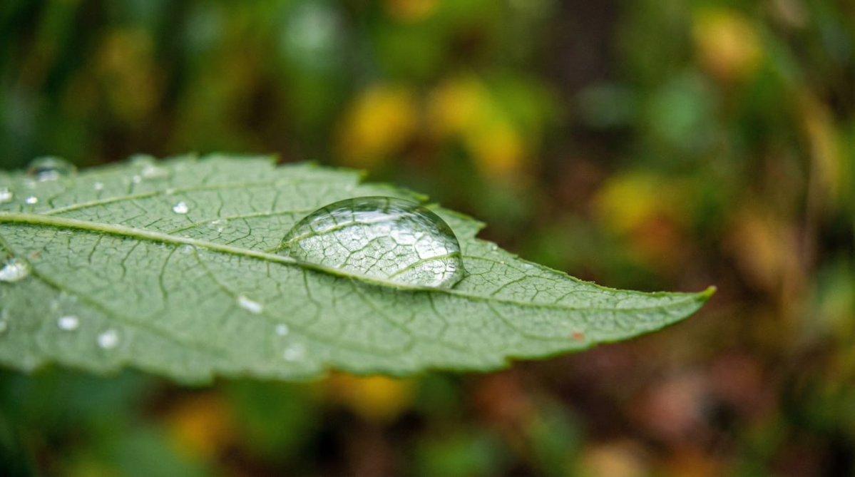 AI generated image for =AI("understand the prompt in content cell, and generate title", C184)
