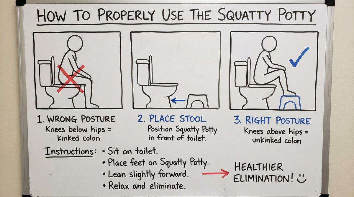 AI generated image for How to Use the Squatty Potty: An Illustrated Guide